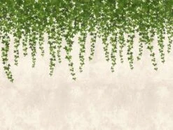 A.S. Creation Verkäufe 27 A.S. Creation Verkäufe -A.S. Creation Verkäufe Fototapeten Blaetter Efeu Wand grau gruen Vlies 38239 1 63209618