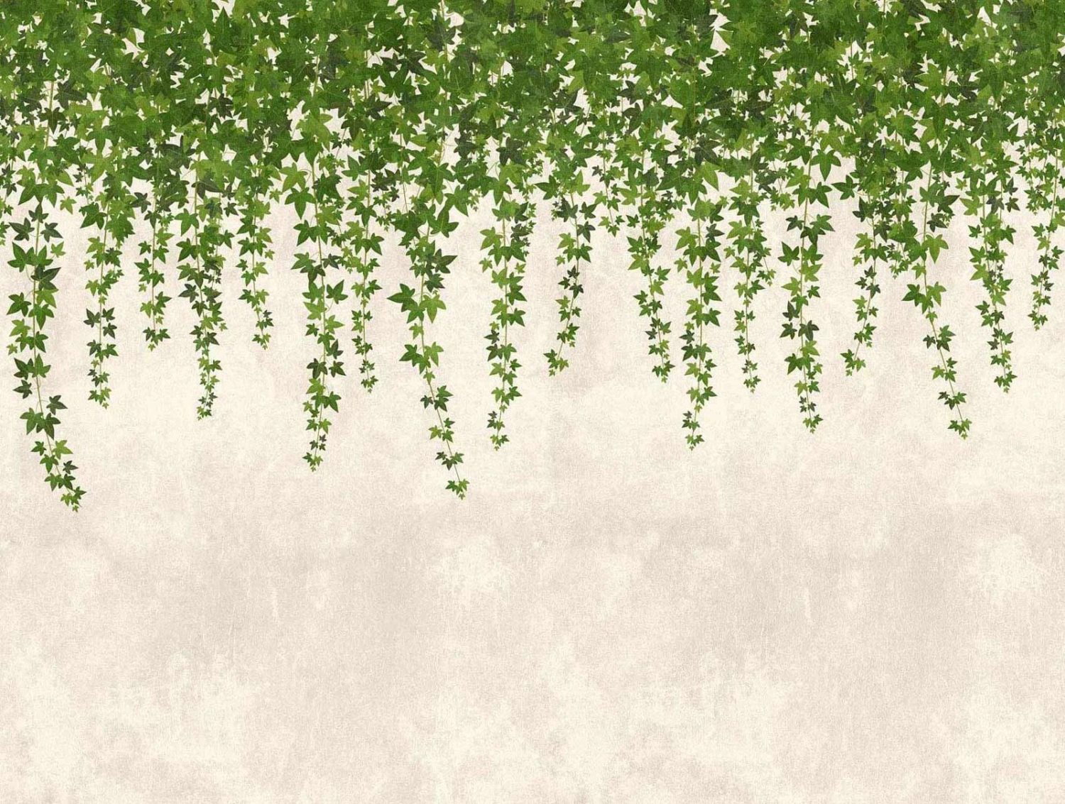 A.S. Creation Fototapeten Blätter Efeu Wand Grau Grün Vlies 38239-1 2 A.S. Creation Fototapeten Blätter Efeu Wand Grau Grün Vlies 38239-1 – Bild 2