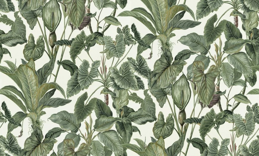 Tapete Vlies Erismann Blätter Tropisch Weiss Grün 6303-07 1 Tapete Vlies Erismann Blätter Tropisch Weiss Grün 6303-07