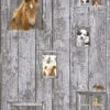 A.S. Creation Tapete Kinder Pferd Hund Schaf Grau Braun 35842-1