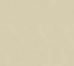 A.S. Creation Tapete Kinder Uni Design Beige Little Stars 35834-8