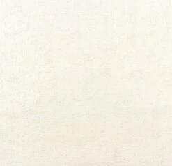 A.S. Creation Uni Steinoptik Creme 5021-24 Vliestapete AS Creation