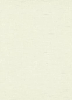 Tapete Vlies 10140-01 Einfarbig Weiß Grau -A.S. Creation Verkäufe Tapete Vlies 10140 01 Einfarbig pastellgruen 63205524