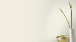 Barbara Home Vliestapete Einfarbig Creme 536805 6 Barbara Home Vliestapete Einfarbig Creme 536805 -A.S. Creation Verkäufe Tapete Vlies 536805 Einfarbig creme 63203595