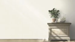 Barbara Home Vliestapete Einfarbig Creme 536805 7 Barbara Home Vliestapete Einfarbig Creme 536805 -A.S. Creation Verkäufe Tapete Vlies 536805 Einfarbig creme 63203595 1