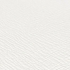 A.S. Creation Vliestapete überstreichbar Struktur Weiß 39010-3 -A.S. Creation Verkäufe Vliestapete ueberstreichbar Struktur Weiss 39010 3 63216930 1